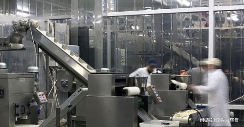 解讀功能性食品代工廠打樣及大貨生產全流程,新品牌方必看攻略