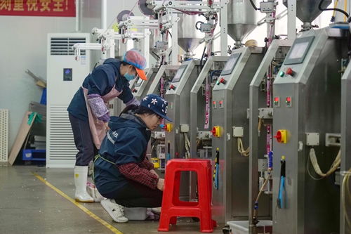 港北區打造高品質寵物飼料，擦亮農業產業品牌